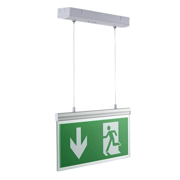 Biard LED Emergency Exit Double Sided Edge Lit -Down Arrow