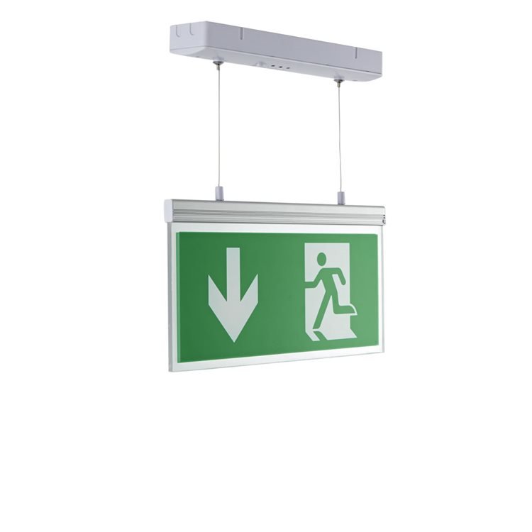 Biard LED Emergency Exit Double Sided Edge Lit -Down Arrow