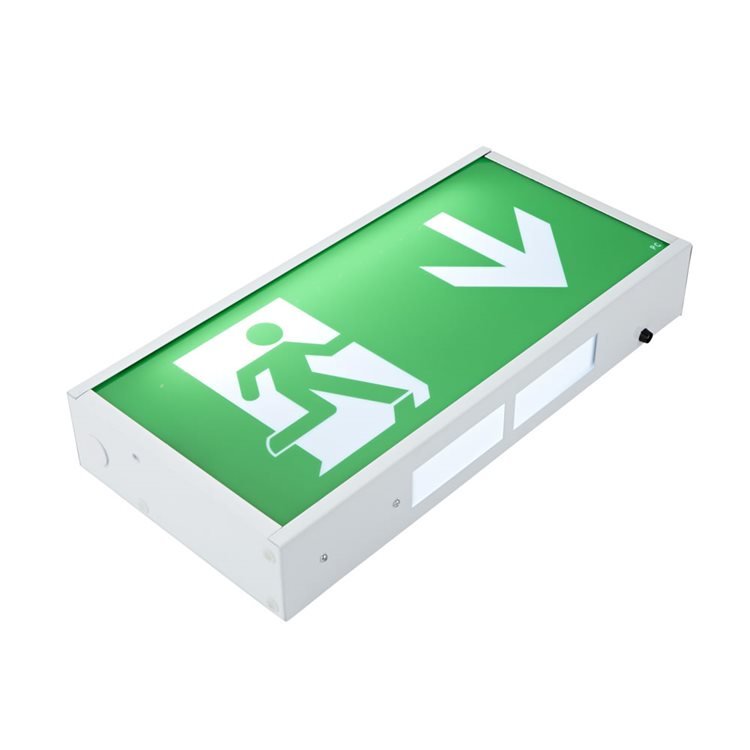 Biard LED 3W Emergency Exit Sign Maint/Non-Maint -Down Arrow