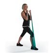 PhysioRoom Latex Resistance Band